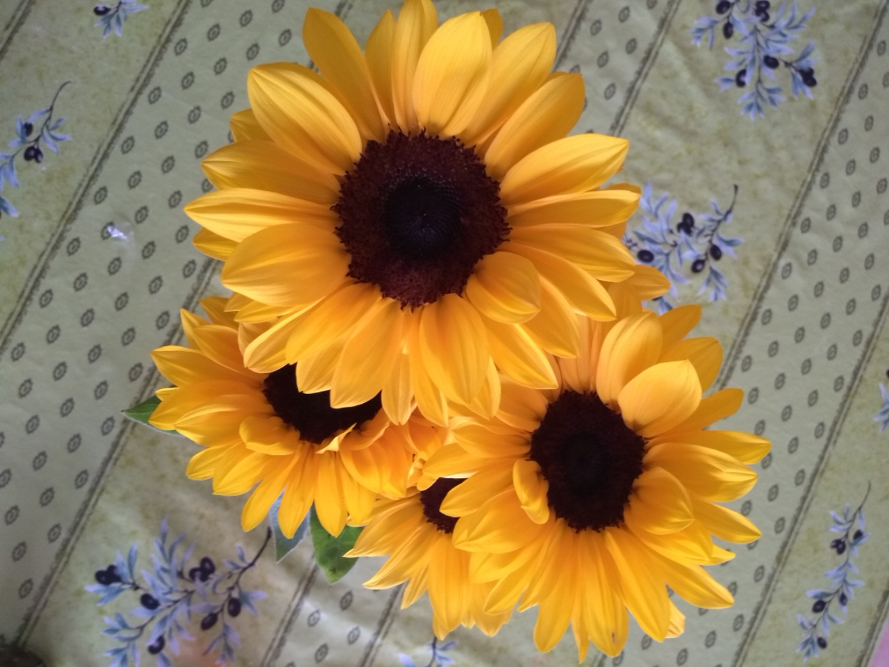 sunflowervase